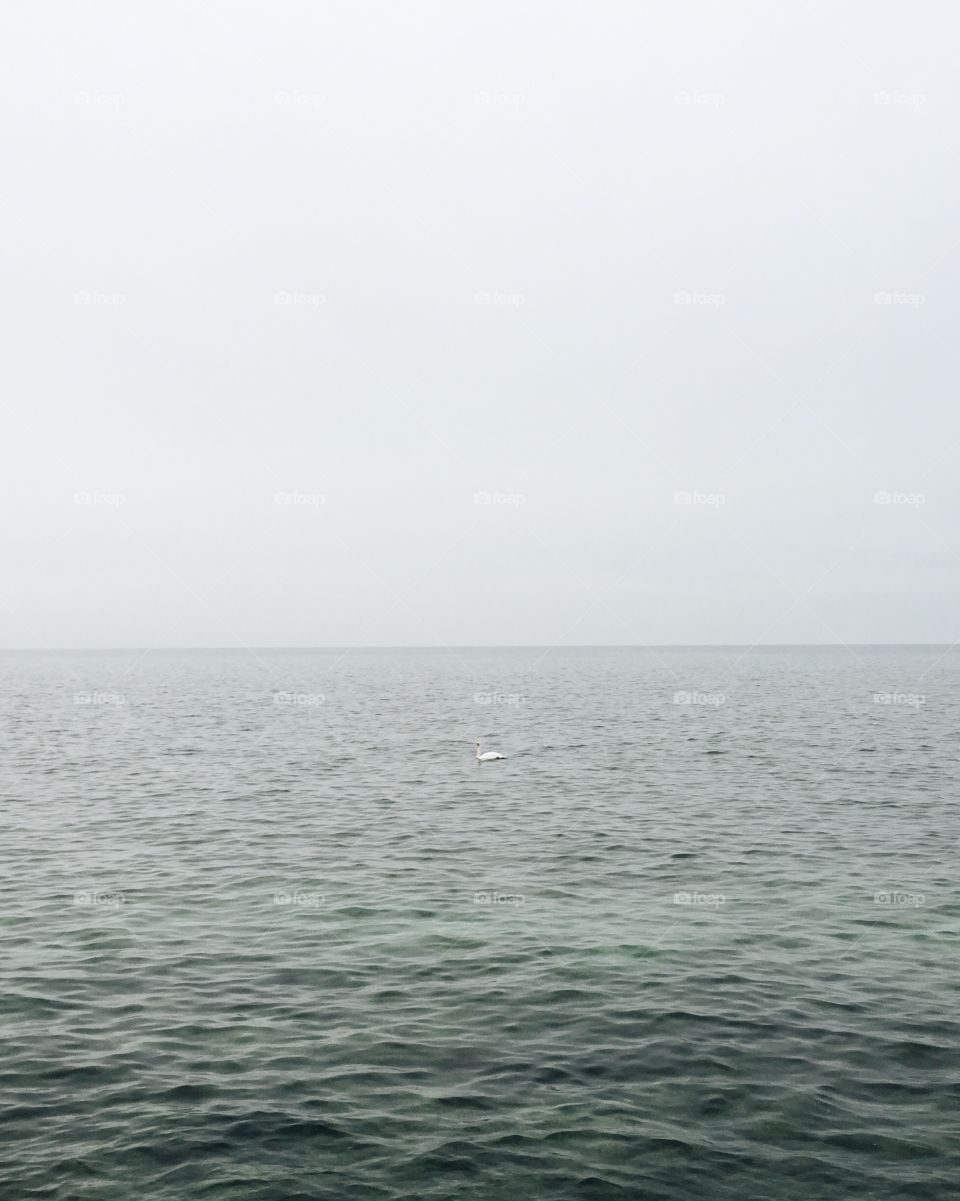 Water, Nature, Sea, No Person, Summer