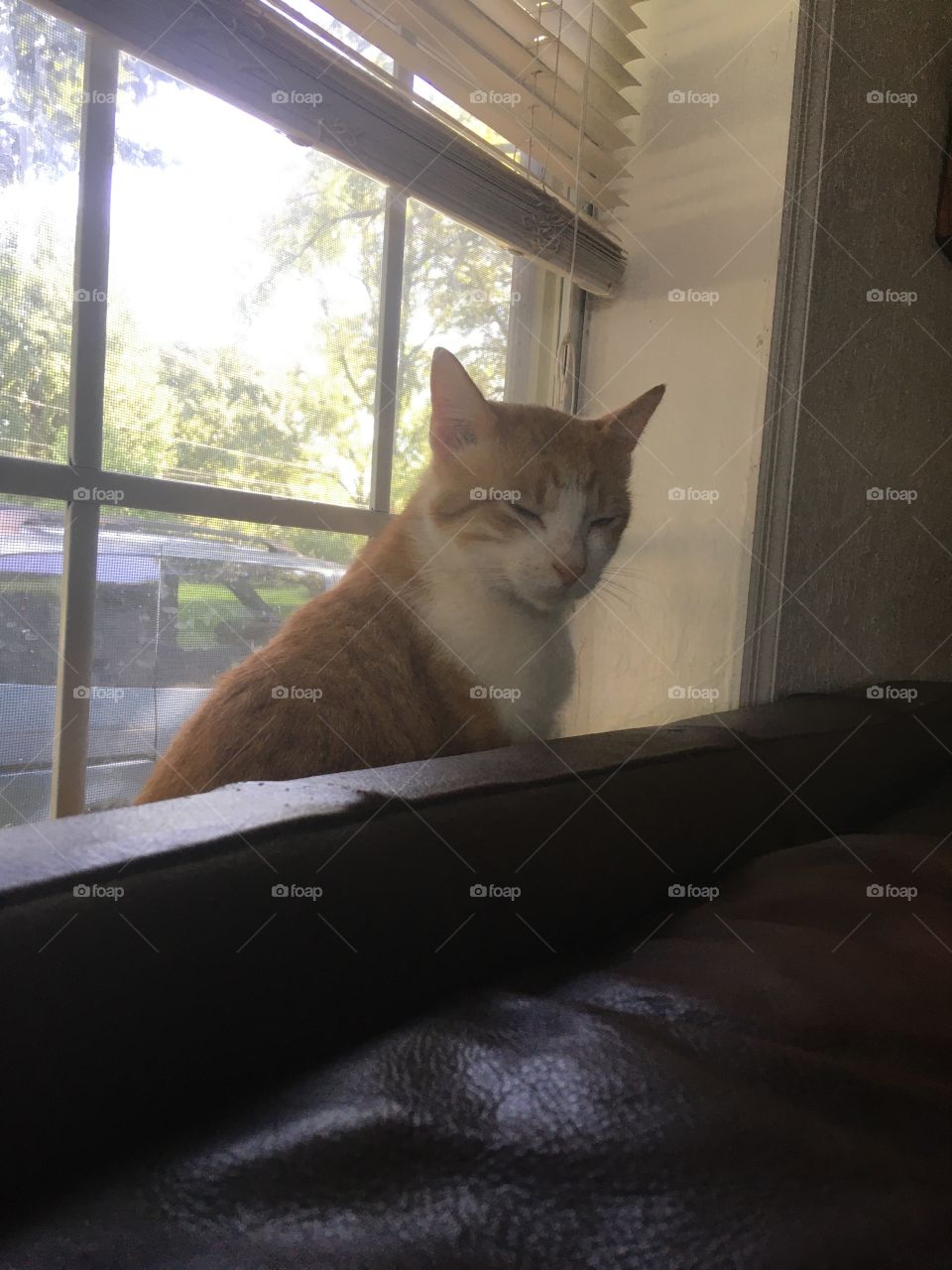 What’s all the commotion about? How dare y’all wake me up before the weekend is here!