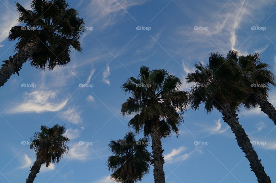 California Sky 