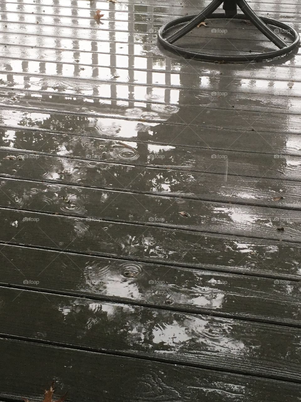 Rain reflections
