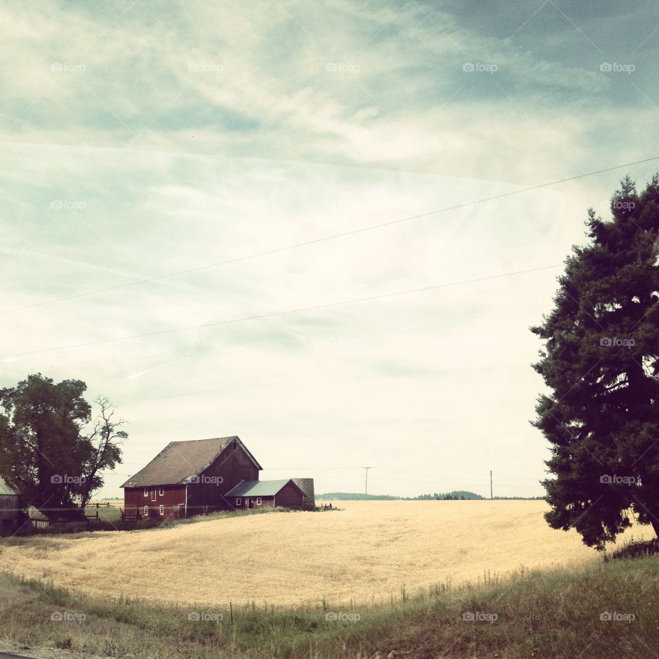 Washington Farmland