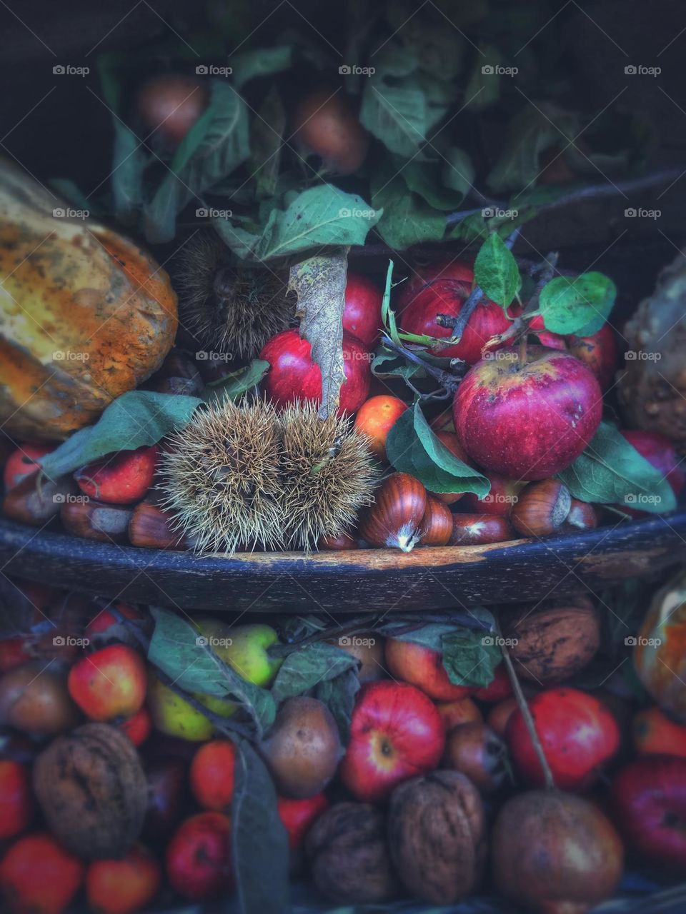 still life, autumn fruit 