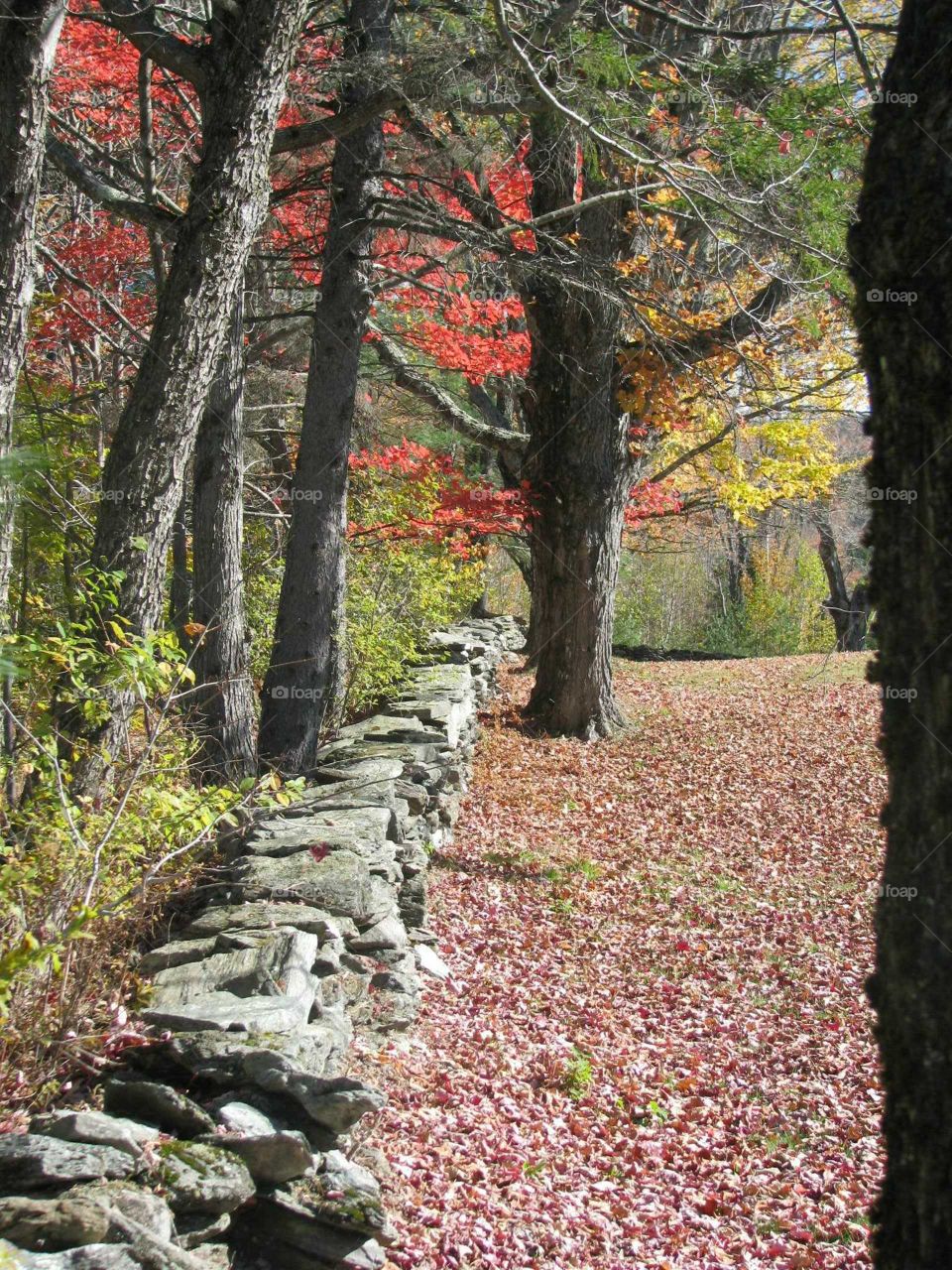 stone wall of graveyard in Vermont