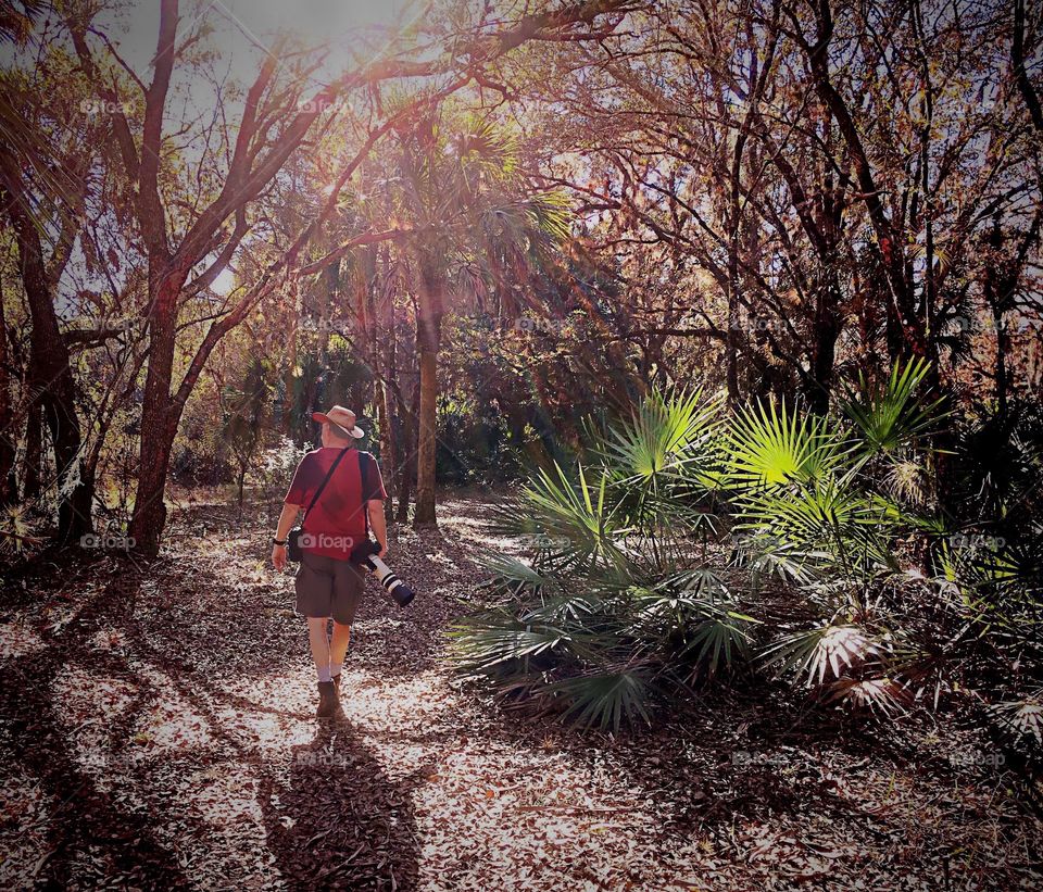 Photographer exploring a sunlit forest.