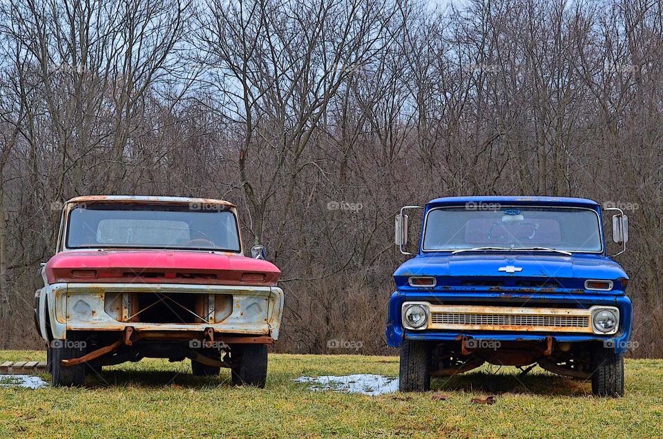 Take the Nostalgic Way Home (Series)