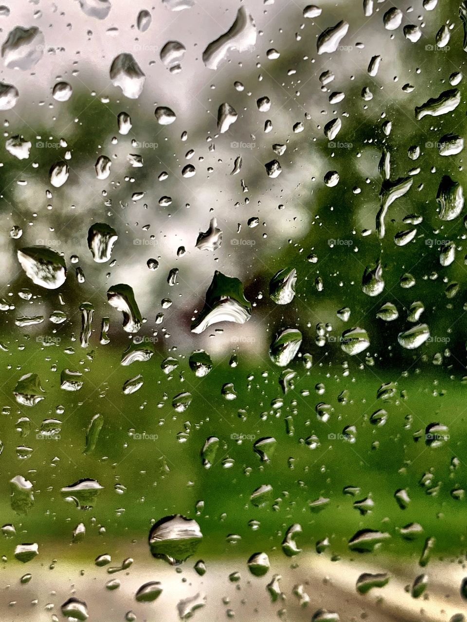 treeline through glass on a rainy day