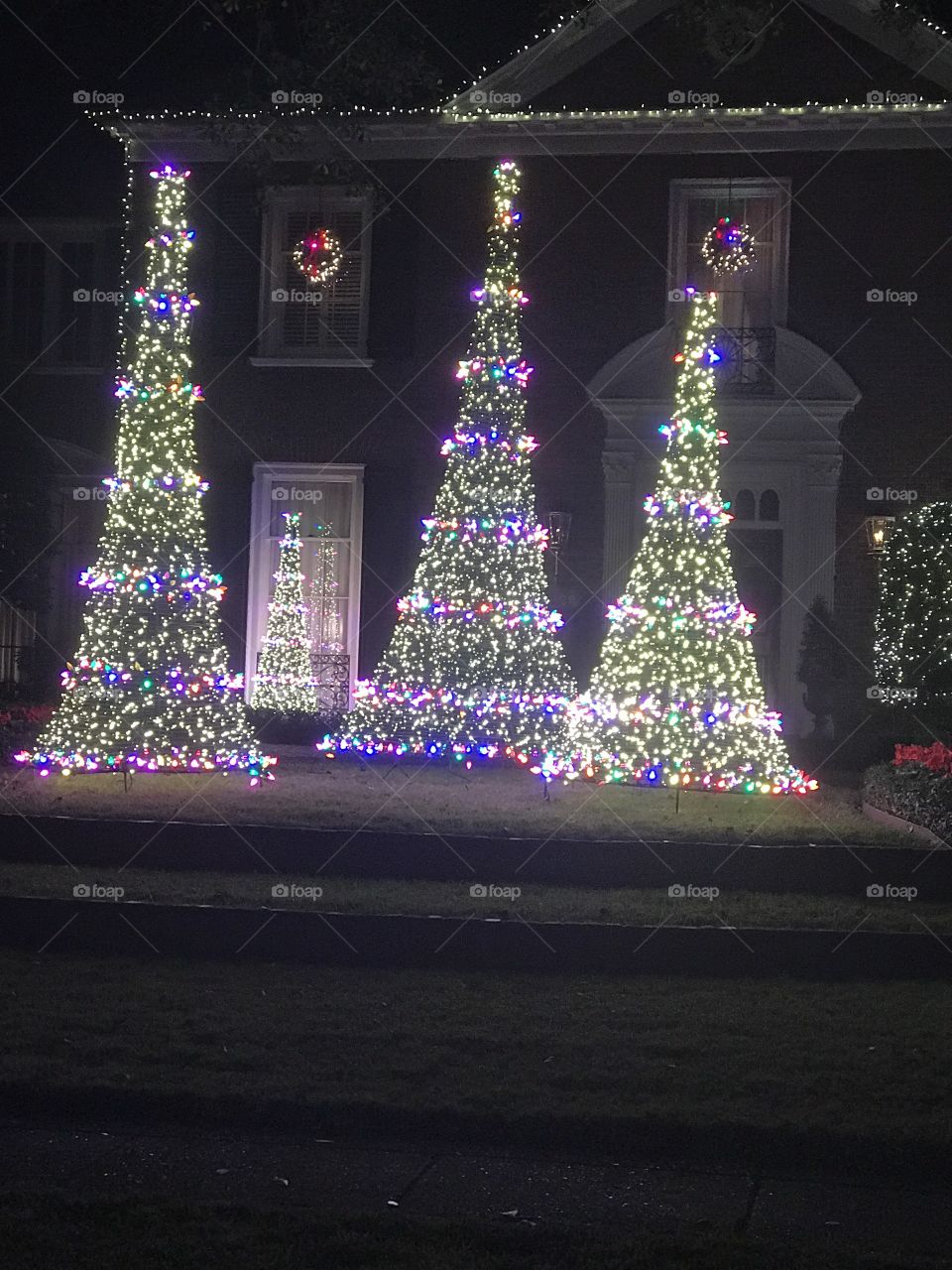 Three Christmas Tree's Lights 