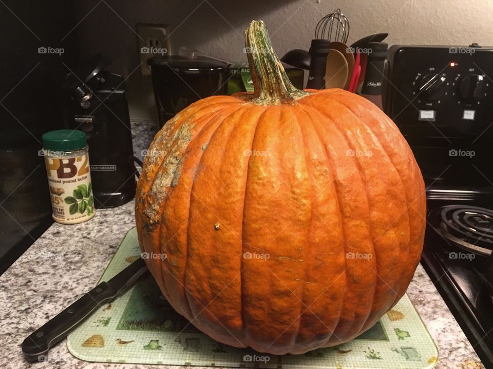 Getting ready to cut and cook this pumpkin
