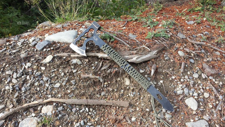 Nature, Tree, Wood, Ground, Environment