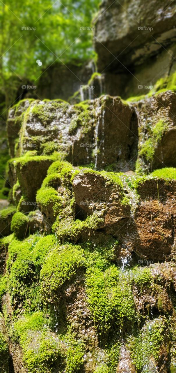 water falling at cave openinf