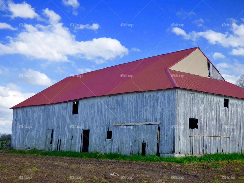 Old barn 