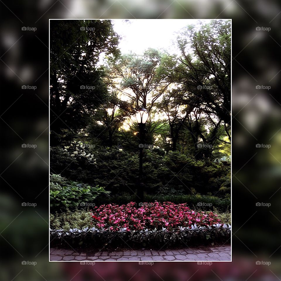 Olmsted Flower Bed - Central Park, New York City. Instagram,@PennyPeronto