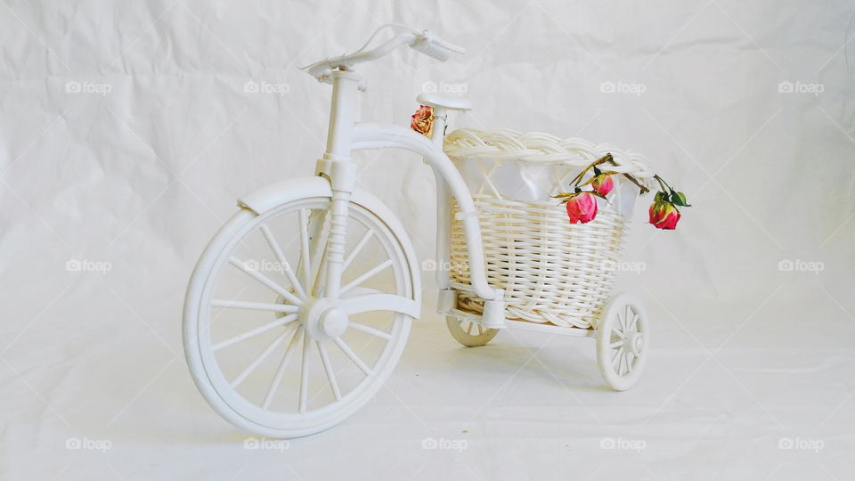 decorative toy bike and dried rose buds