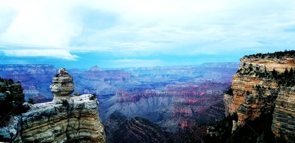 Grand Canyon 🌻