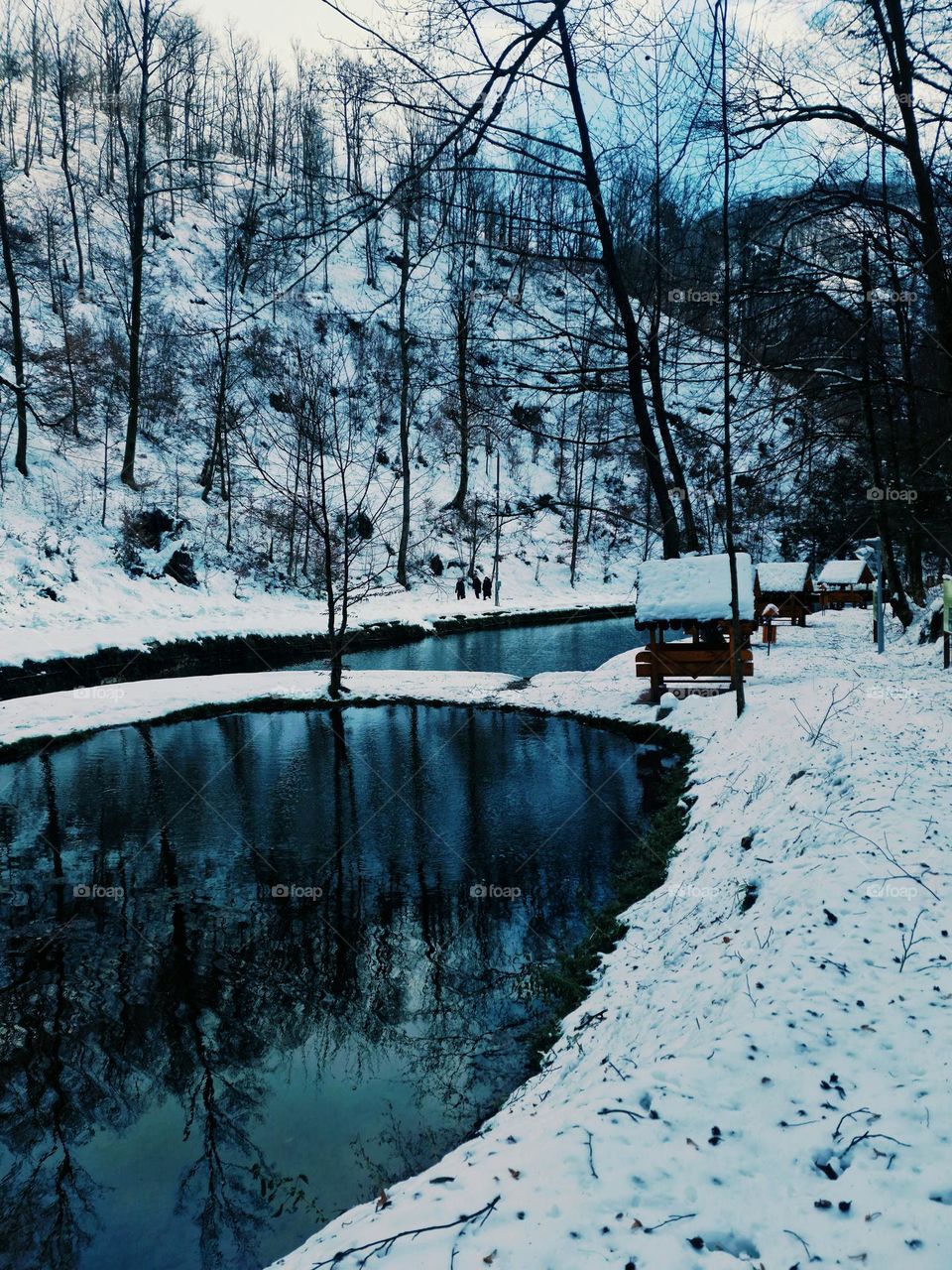 white winter at Moneasa