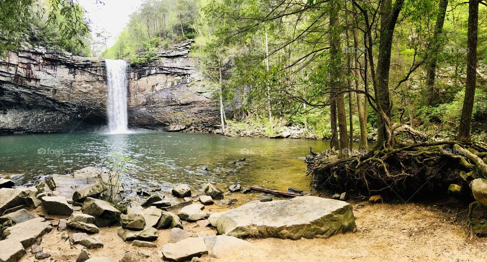 Spring hike at Foster Falls State Park. 