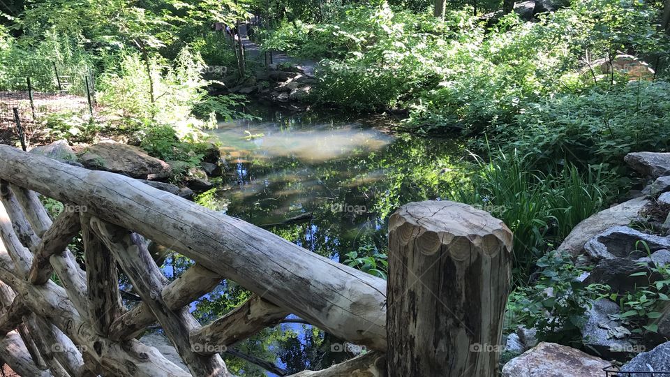Wooden bridge and pond