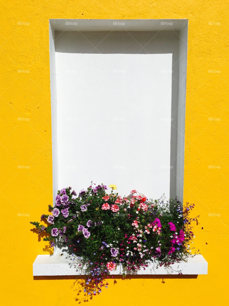 Bright yellow wall with colored flowers 