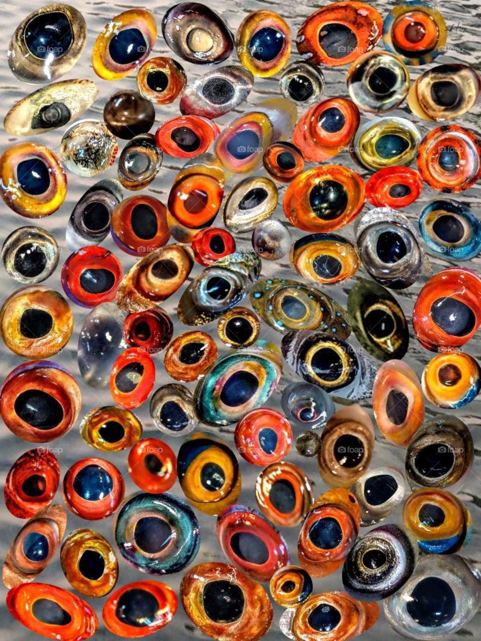 There are many fishes eyes in this photo, I didn't know become what appearance beginning, I just arranged and designed to put every eyes one by one patiently, took care their colors and shapes, finally became a jem-like pattern. so bright, wonderful.