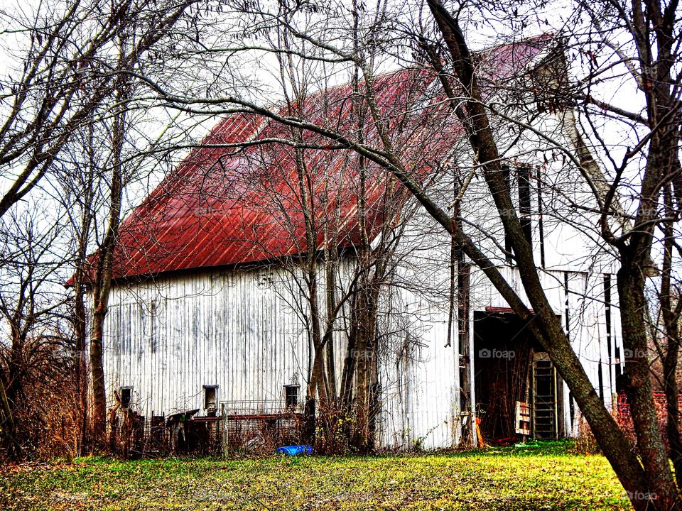 Cool white old barn