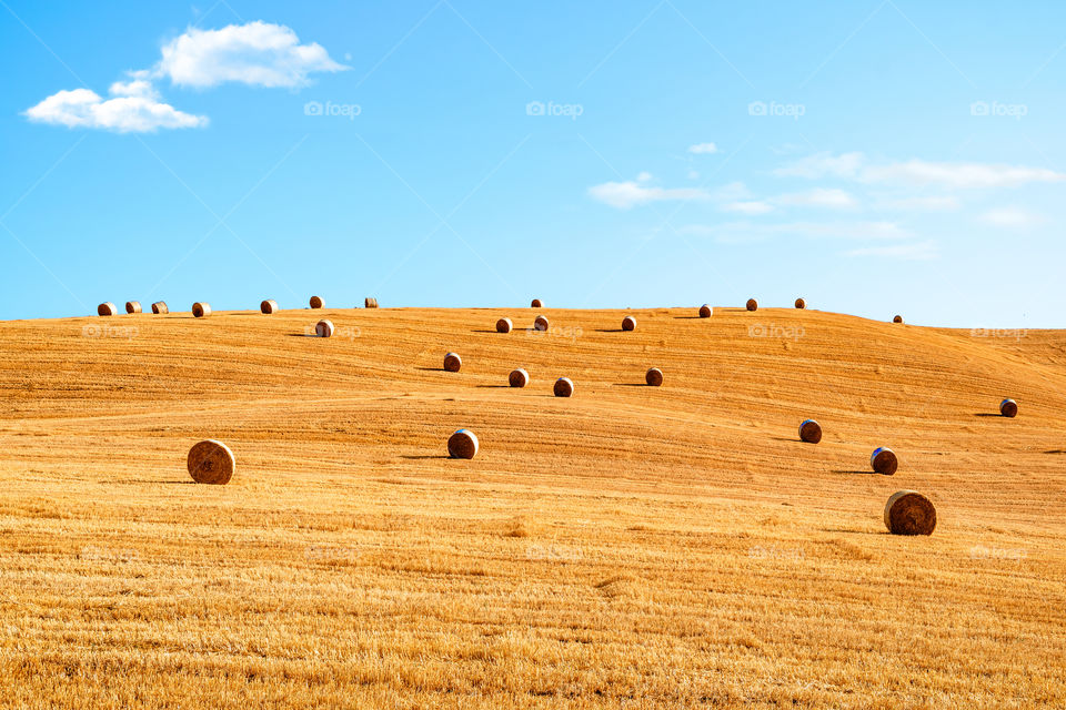 Tuscany, Italy