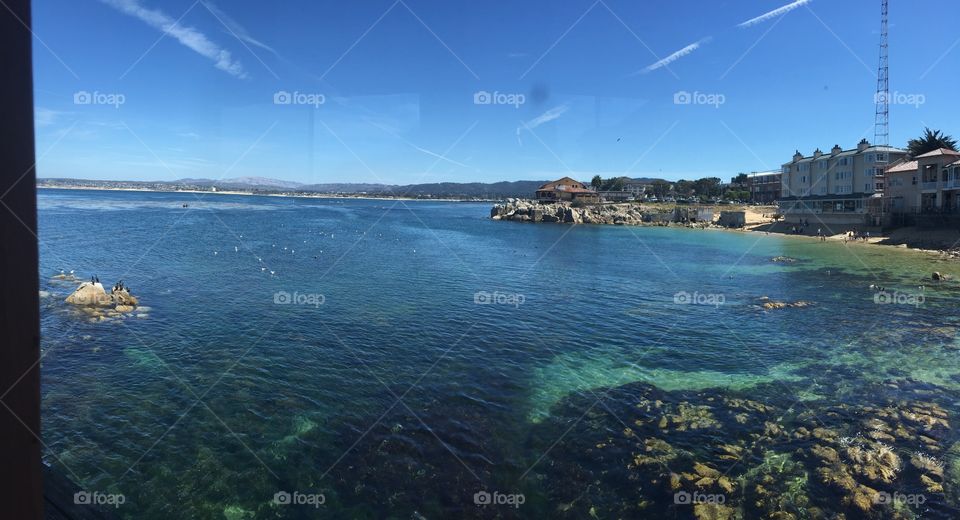 Monterey coast
