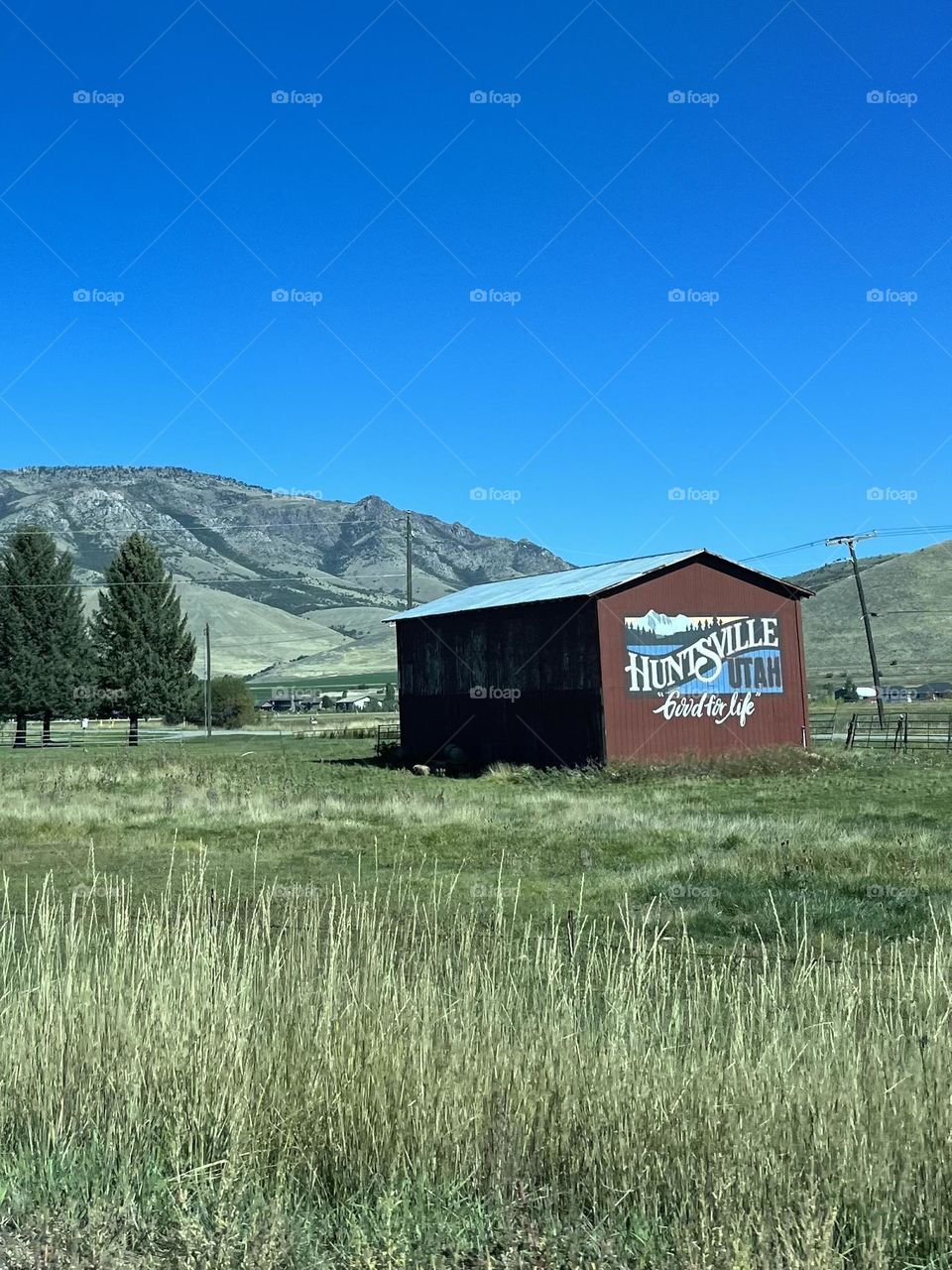 Farm and mountain in backdrop