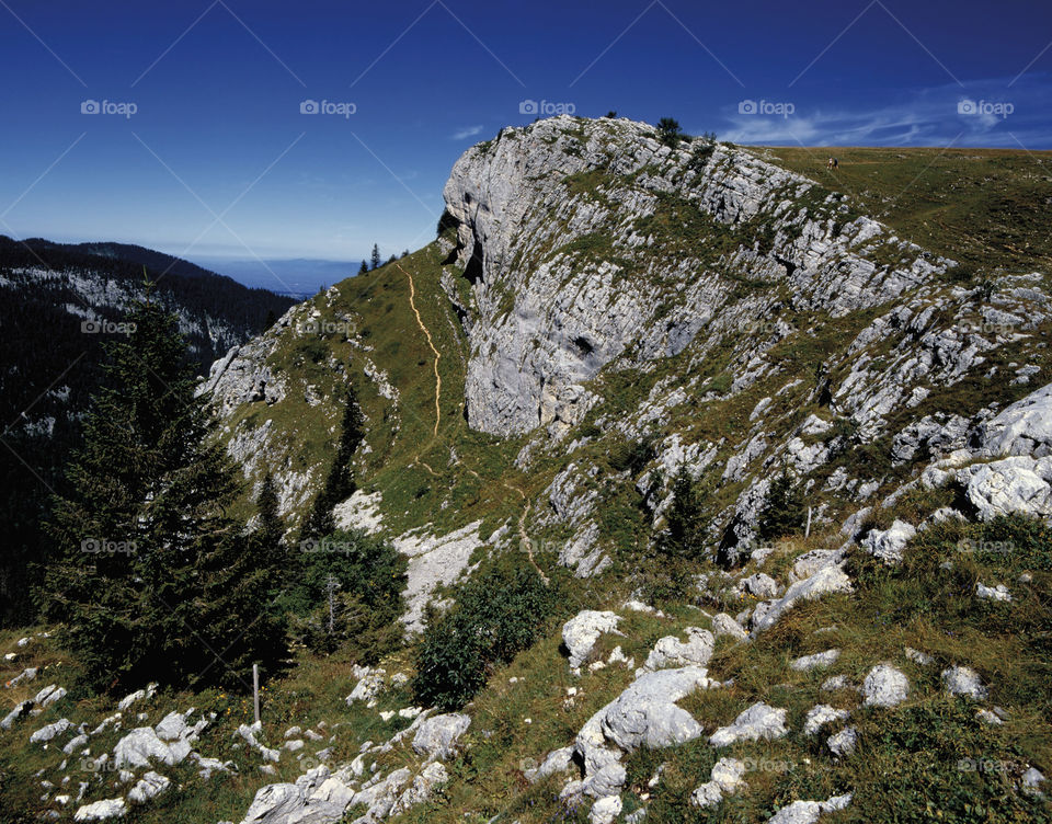 Chartreuse Alps 