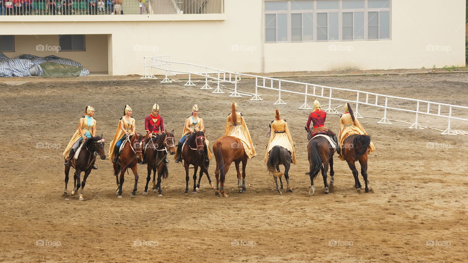 Equestrian performances 馬術表演