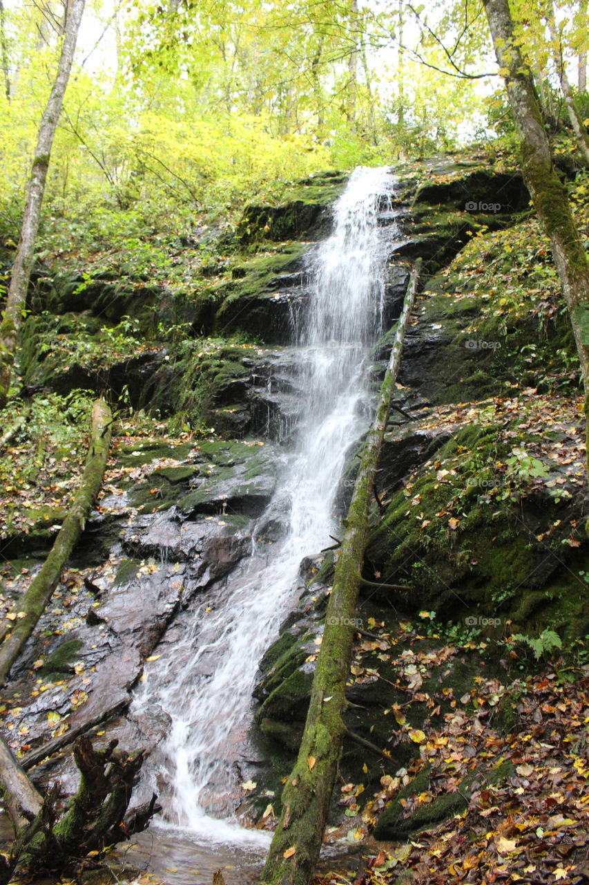 Little Branch Fall