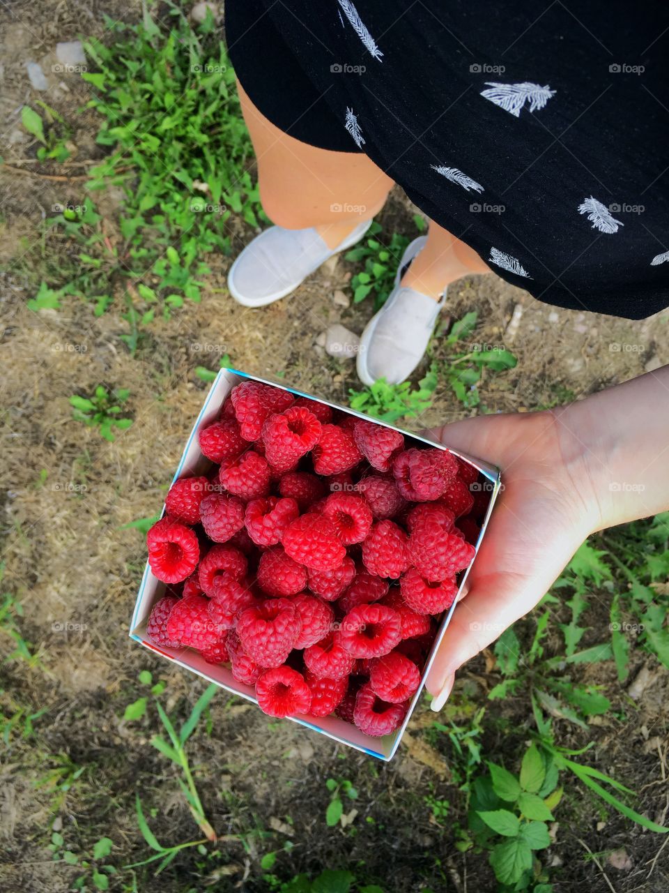 Berries from Sweden