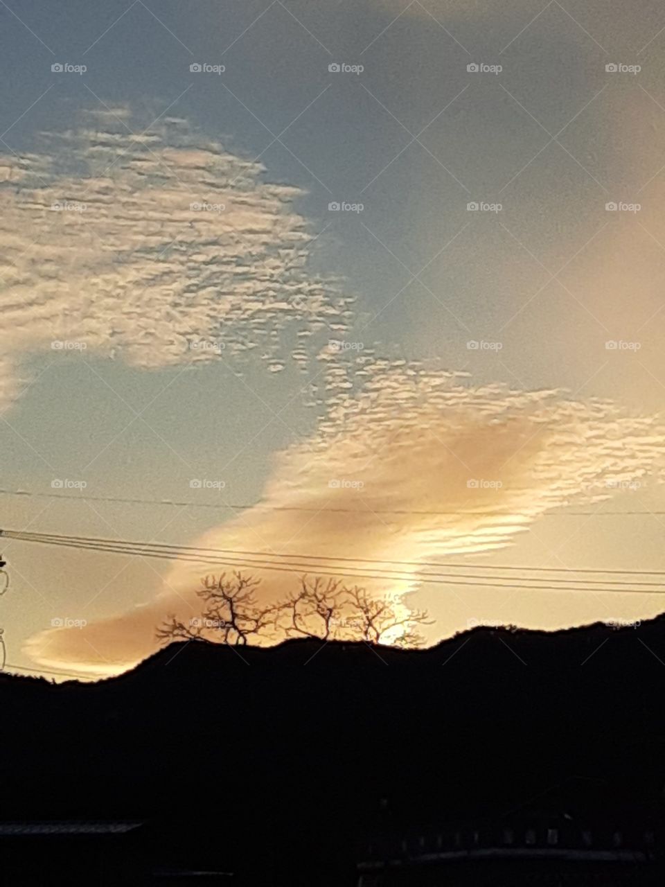 at first glance I thought it's like squirrels but when I looked at it closely I found out it looks like a dog or a wolf . it have ears and have eyes. the eyes are looking above  the sky while its opening its mouth like shouting ""welcome to foap""