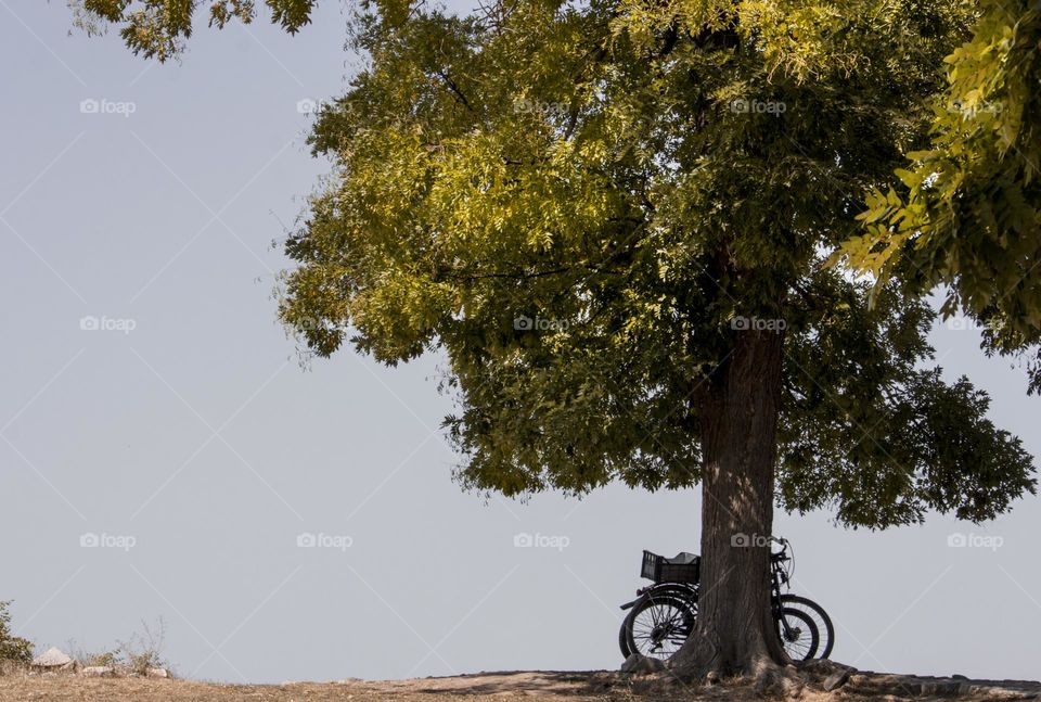 Travel in the countryside, parked bikes by the tree