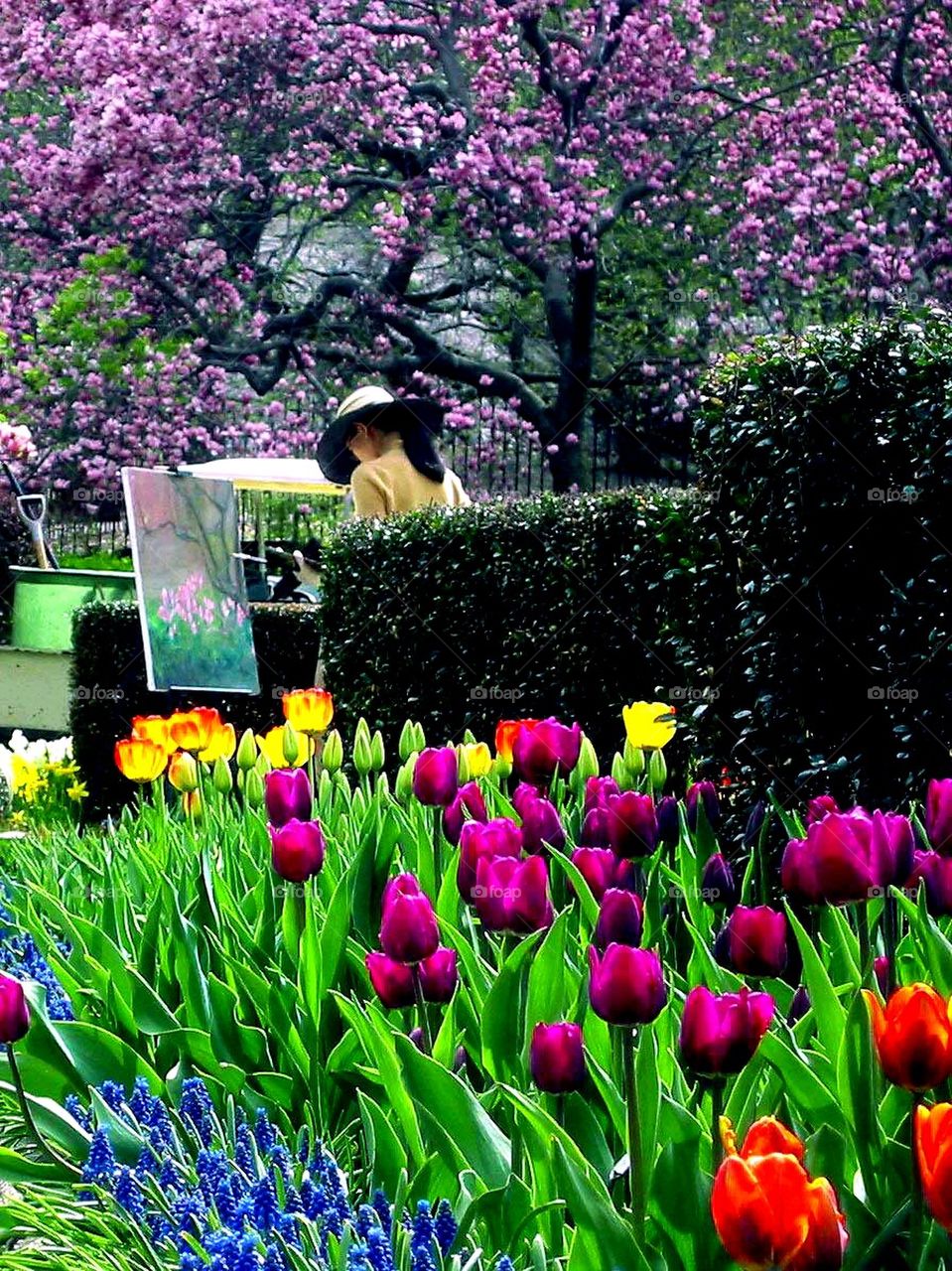 flower painter