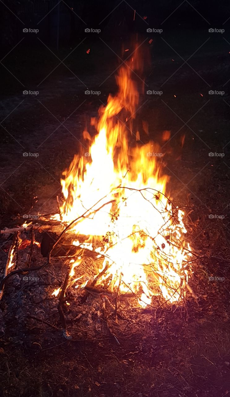 bonfire