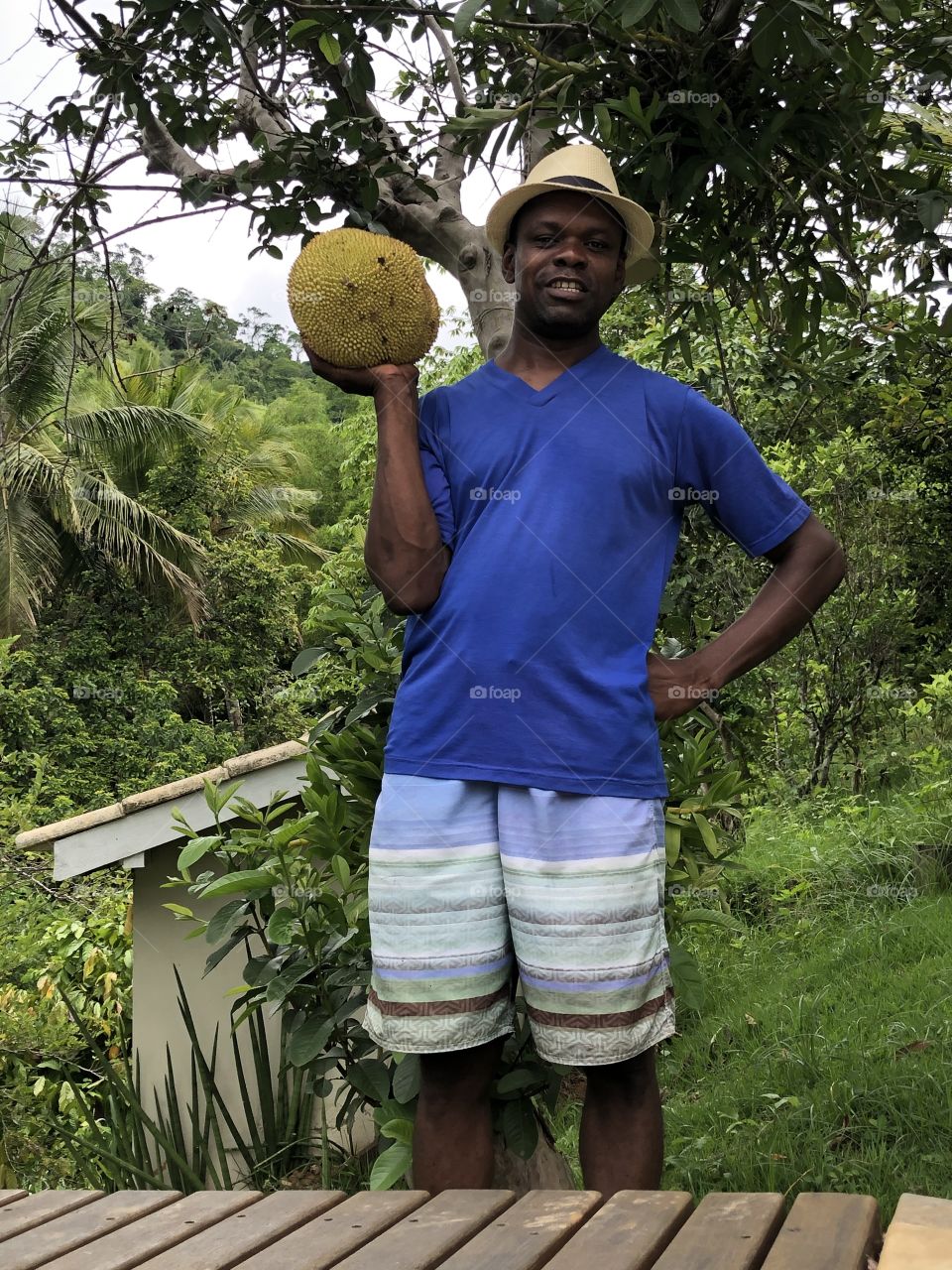 Jaca,fruta tropical muito apreciada  no Brasil. 
