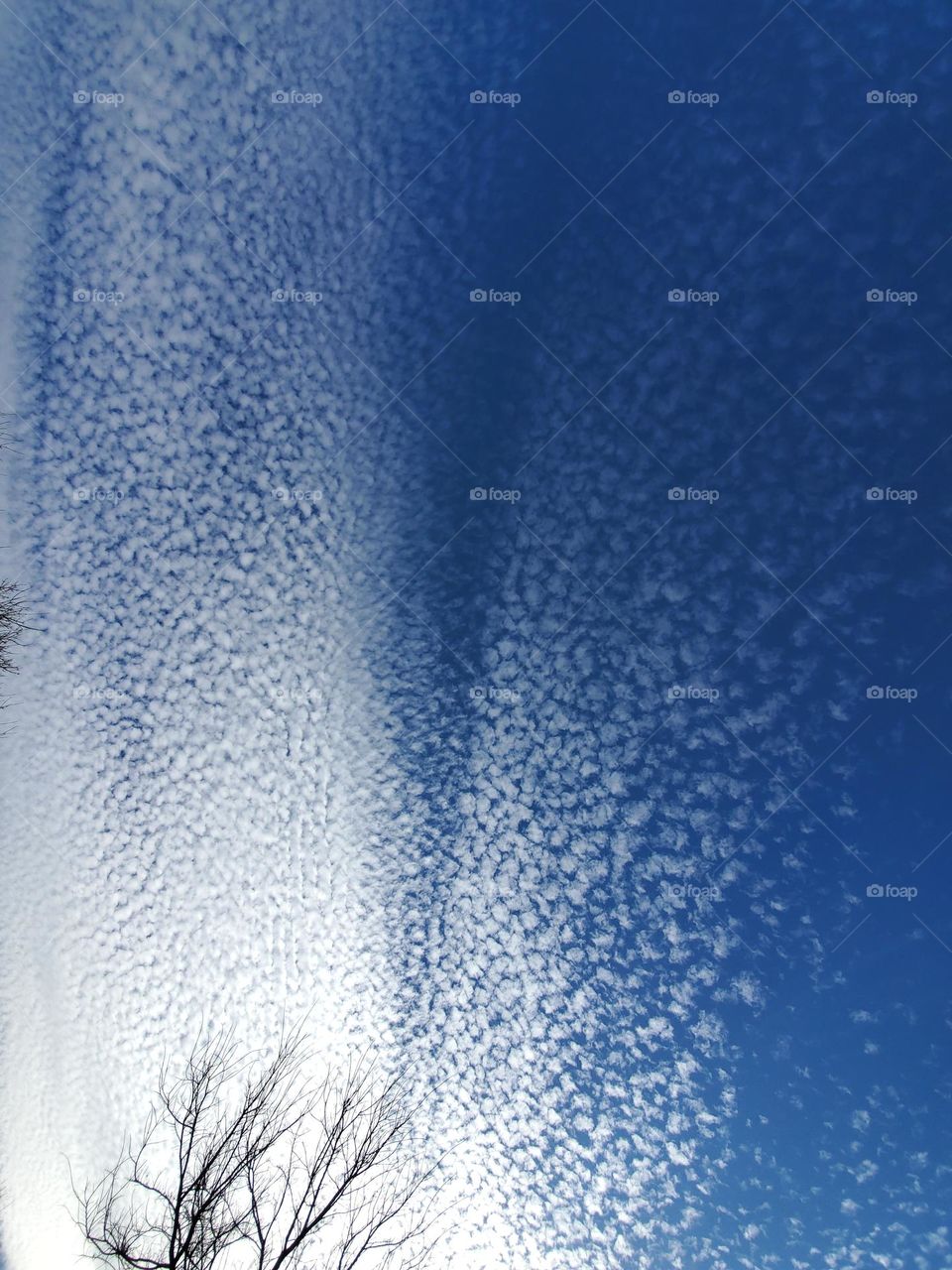 Minimalist cloud photo showing off nature's natural design.