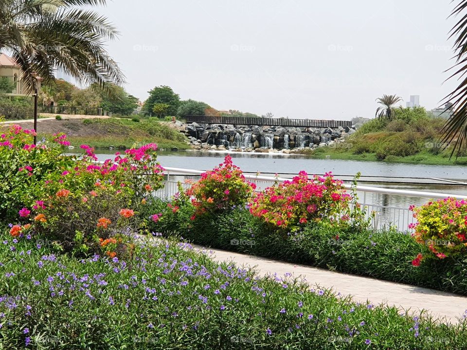 flowers with waterfall
