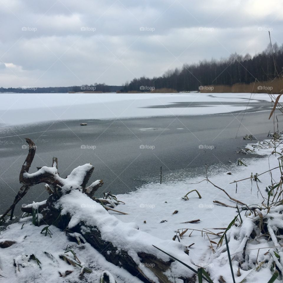 Snowy morning by the lake 