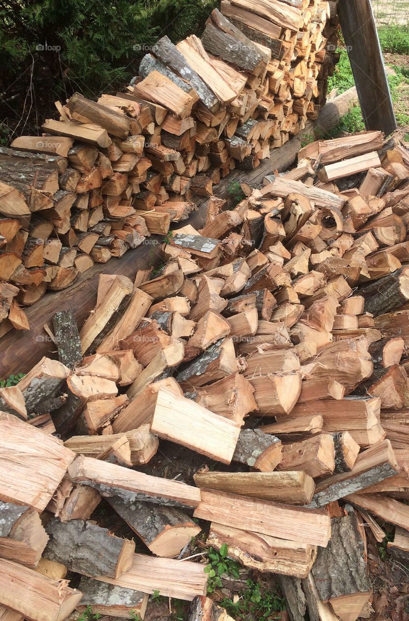 Wood pile 