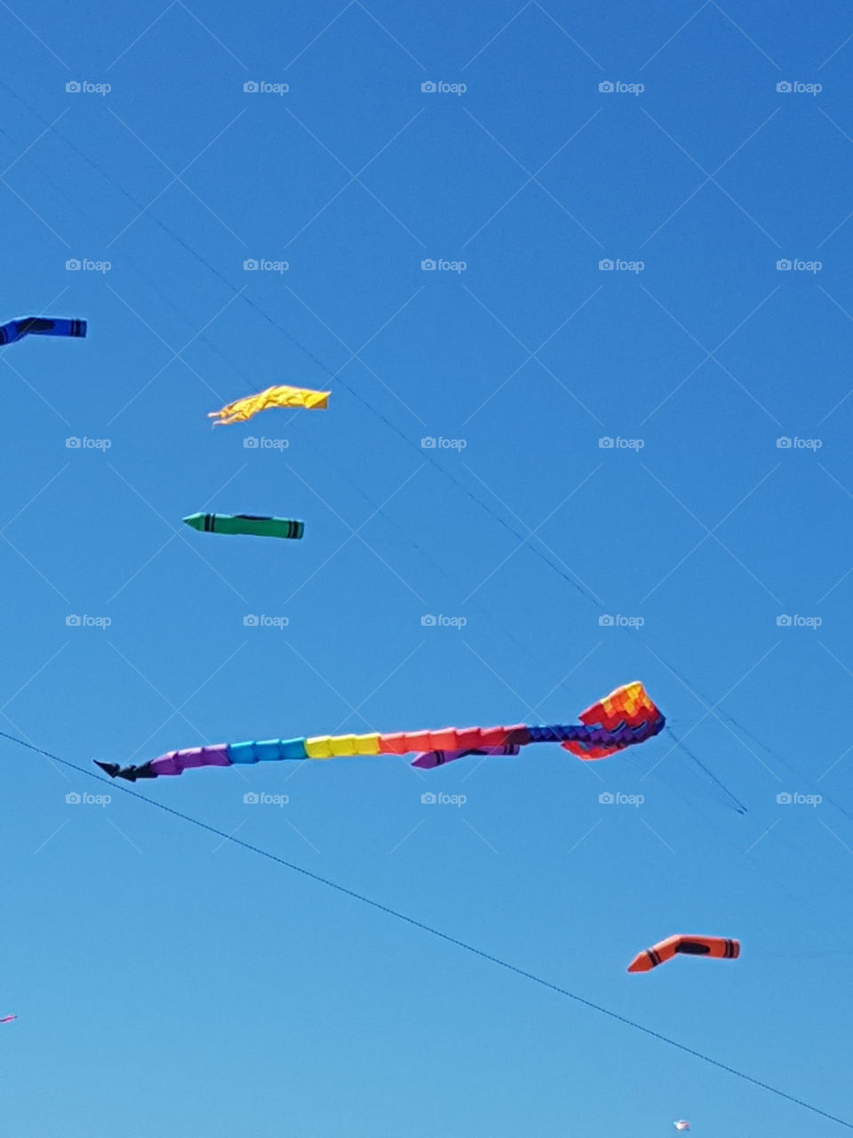 kites