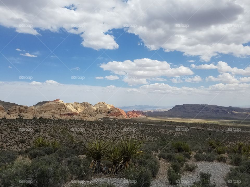 red rock canyon panorama