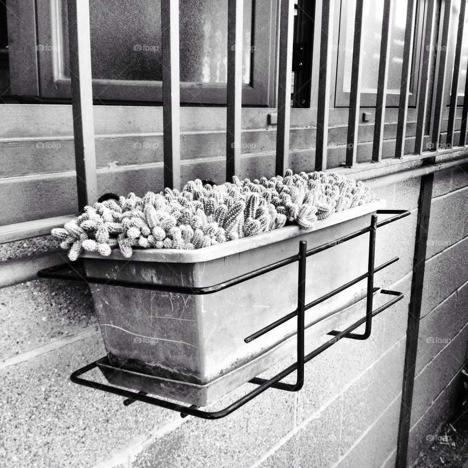 flowers window gril terrace by alekime