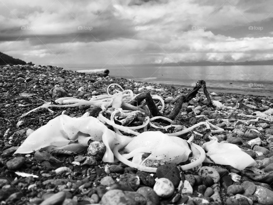 People, Sea, Ocean, Water, Nature