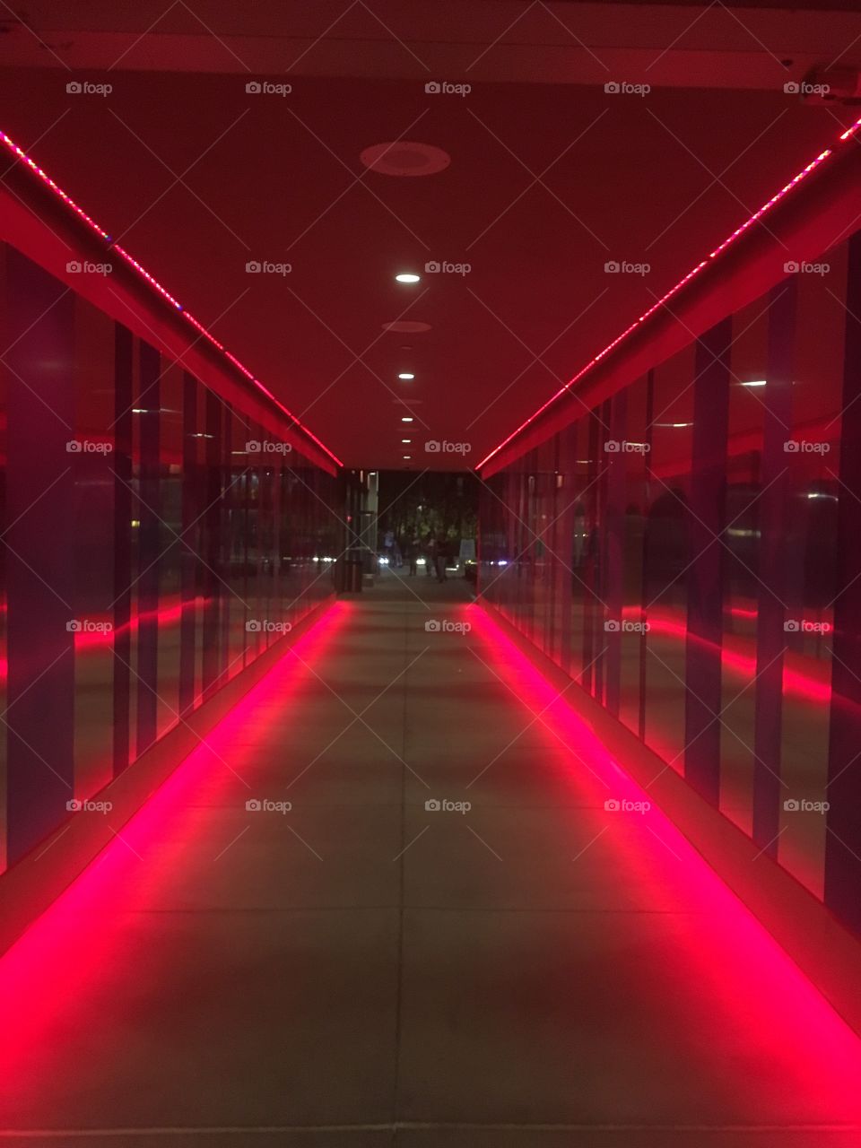Neon hall