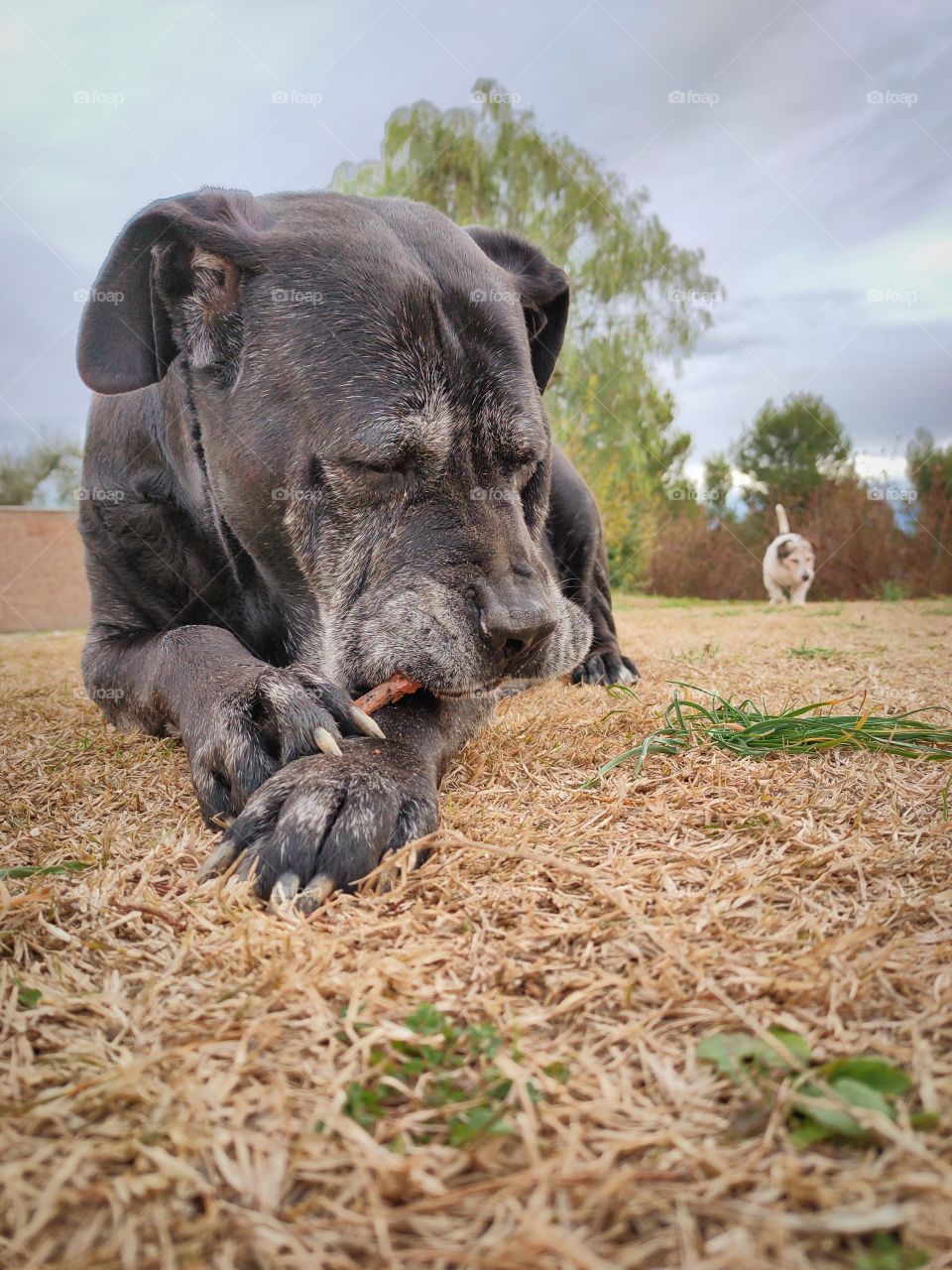 Don't touch my stick