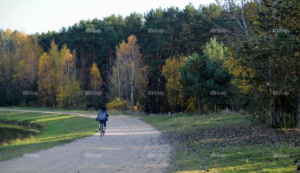 forest and person riding on a bike in road beautiful landscape autumn background