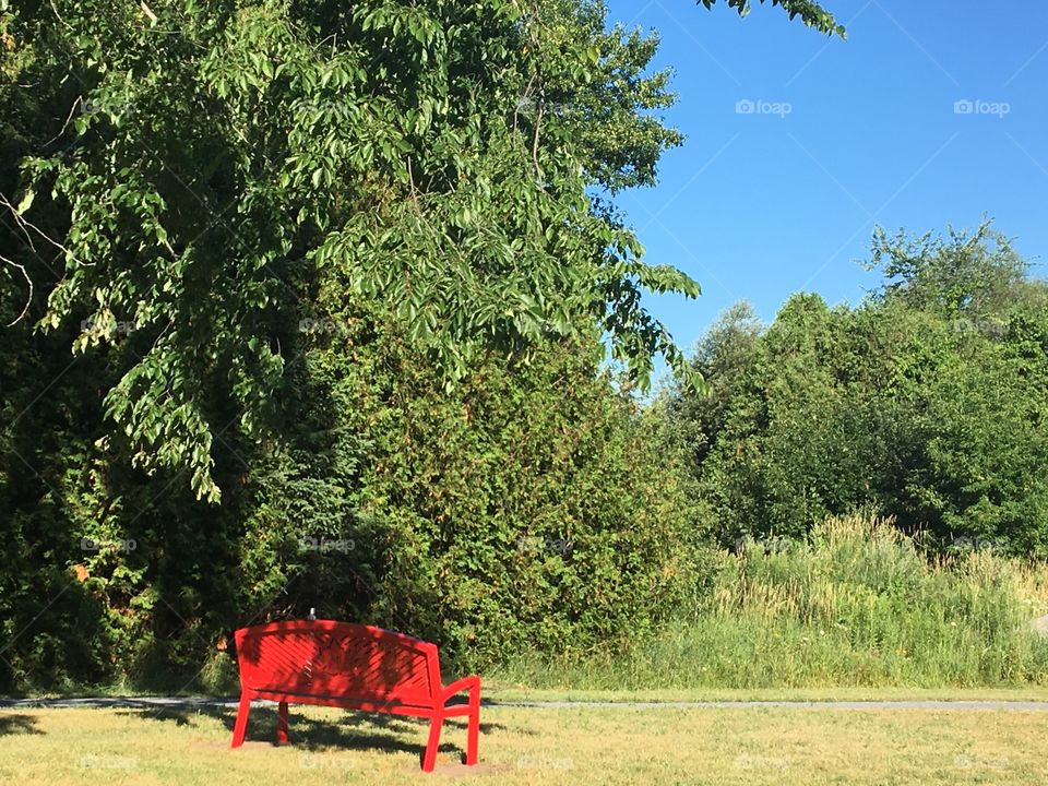 Red sitting bench in the park 