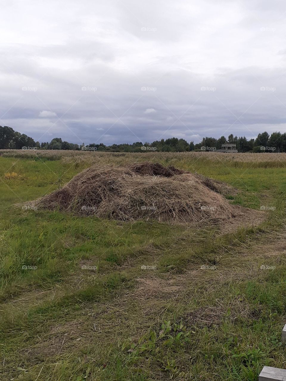 Природный парк Приморье в Риге