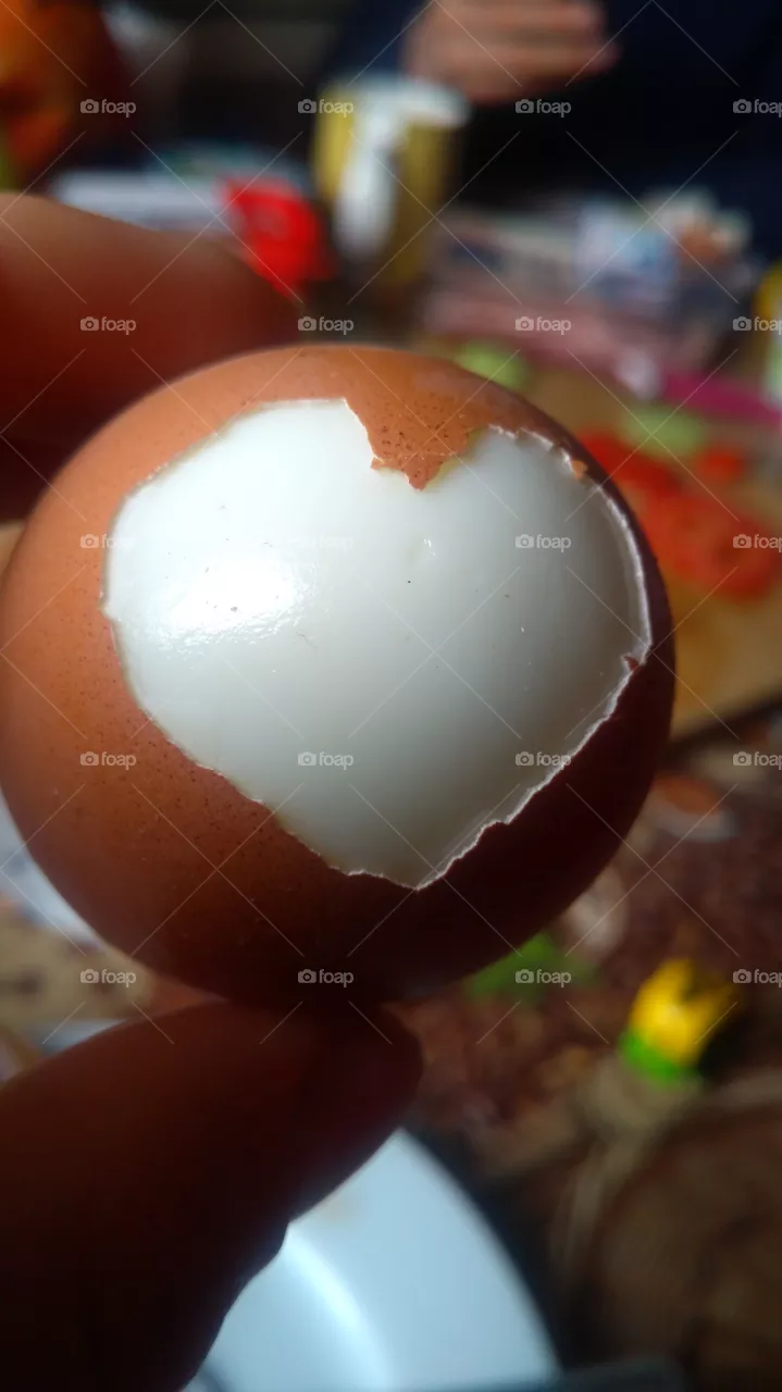 egg